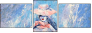 21631275