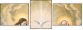 21652544