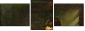 21653701