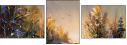 21655913