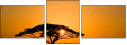 2165695