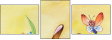 21683430