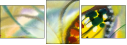 21683658
