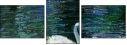 21687116