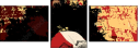 21717214