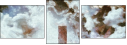 217692182