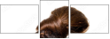 21787769