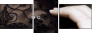21991281