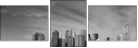 22043006