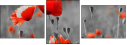 22284891