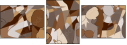 223892600