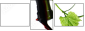 22748445