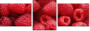 22816665