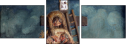 22880237