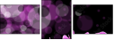 23152561
