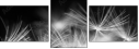 23180311