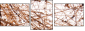 23639472