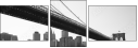 24117889