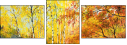 24149025