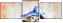 24495257