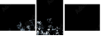 24792295