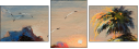 24819768