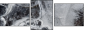 25109455