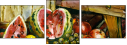 25162532