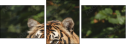 26122223