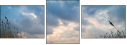 26174733