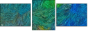 262122365