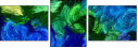 262127014