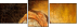 26905100
