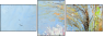 26973707
