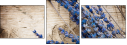 27029700
