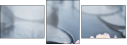 27192905