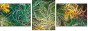 27337792
