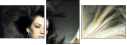 27397851