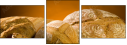 2788091