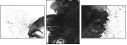 279359235