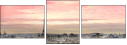 28290547