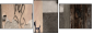 28835543