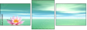 29216817