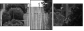 29227779
