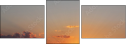 29303543