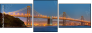 29390012