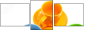 29455982