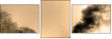 29517510