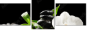 29543339