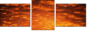 29892519